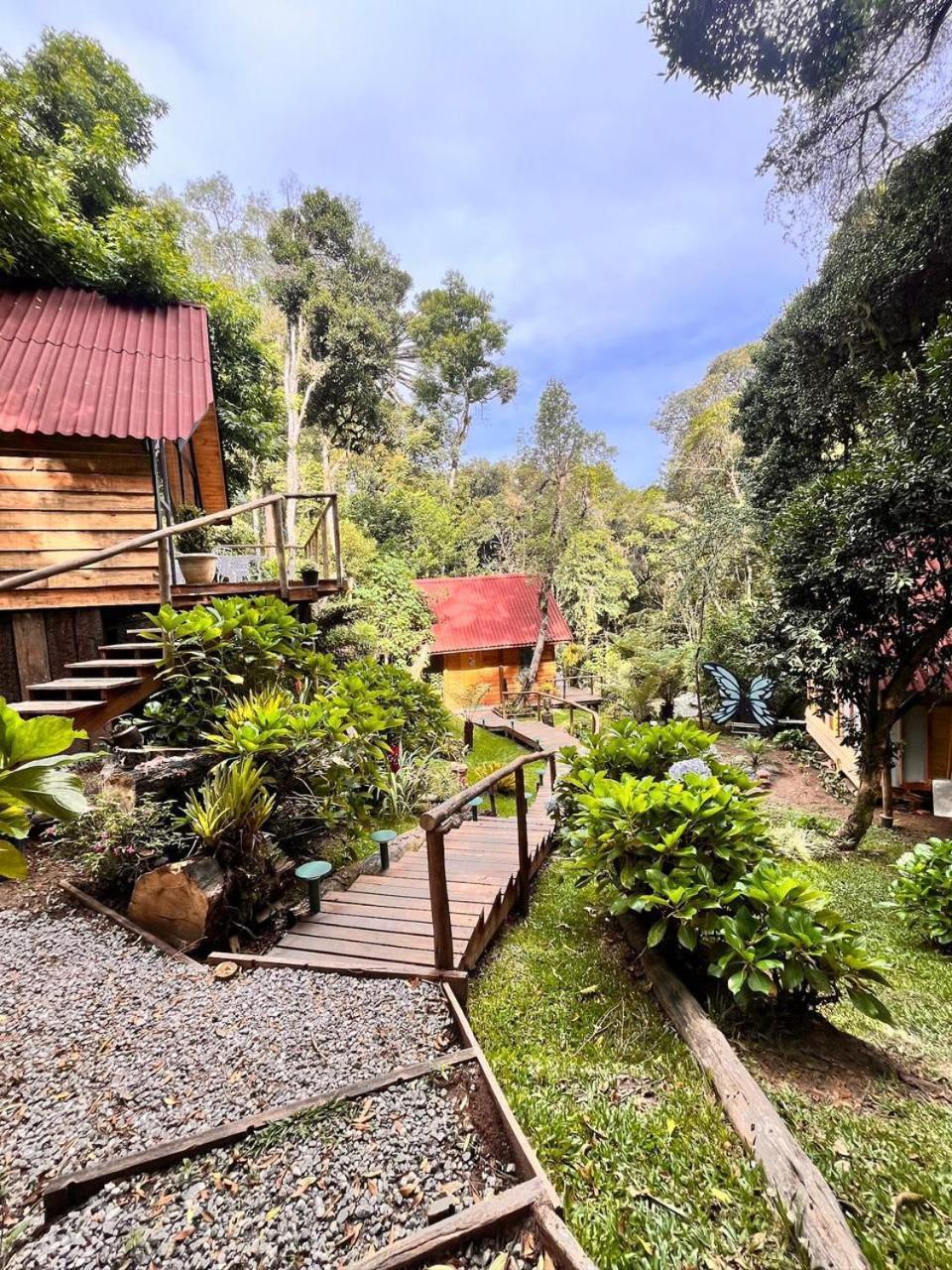 Chalet Chale Cerejeira - Village